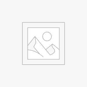 Uncategorized